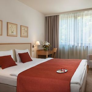 Camera standard con letto king size